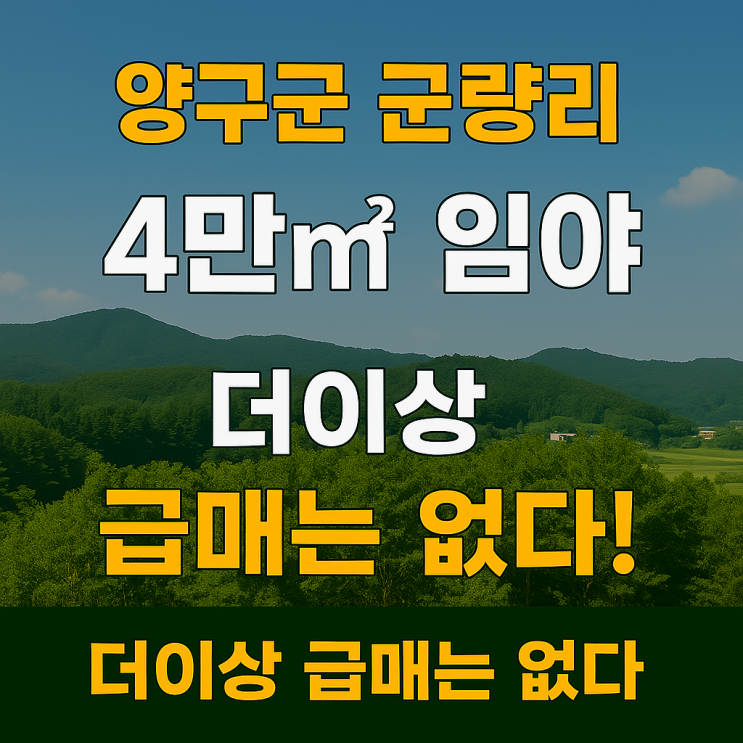   양구군 군량리 4만 임야, 자연 속 힐링과 투자의 기회! 