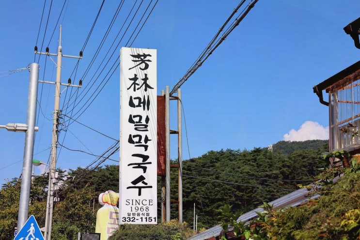  평창에서 막국수 맛보려면? 방림메밀막국수, 알펜시아리조트근처맛집