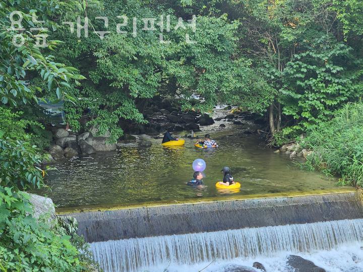 개구리펜션 사진 5