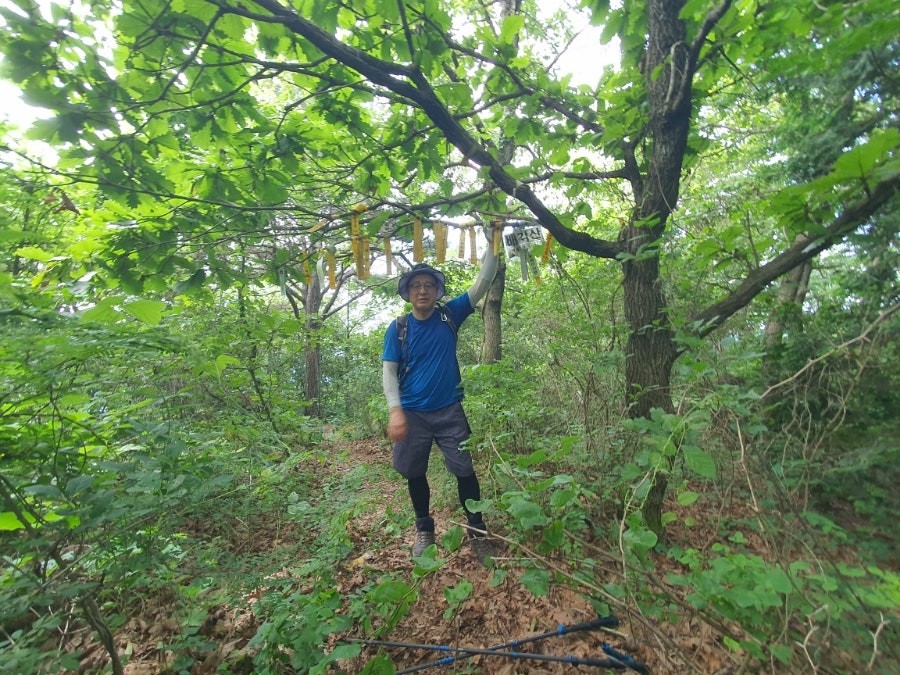 배각산 사진 5