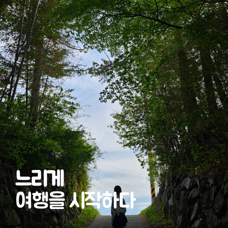  느린 여행을 시작한 이유, 아름촌장의 이야기
