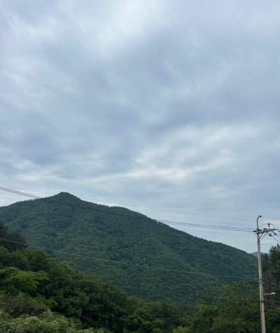 사진 5