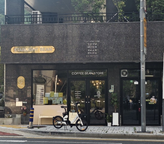 별빛콩 사진 2