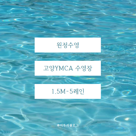 일산 1.5M깊이 고양 YMCA 원정수영 일기