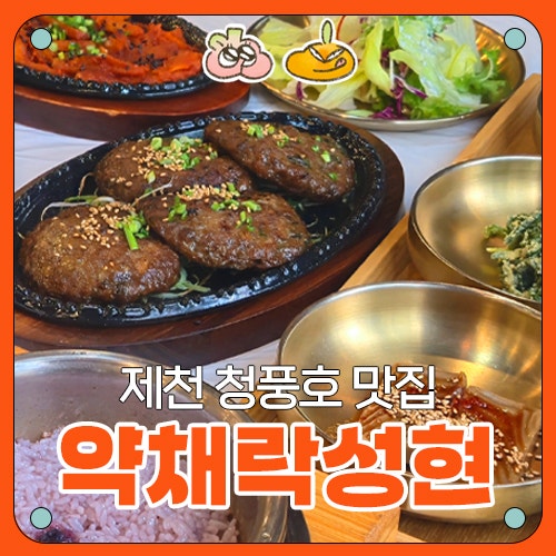  [제천 청풍호 맛집] 약채락성현 후기