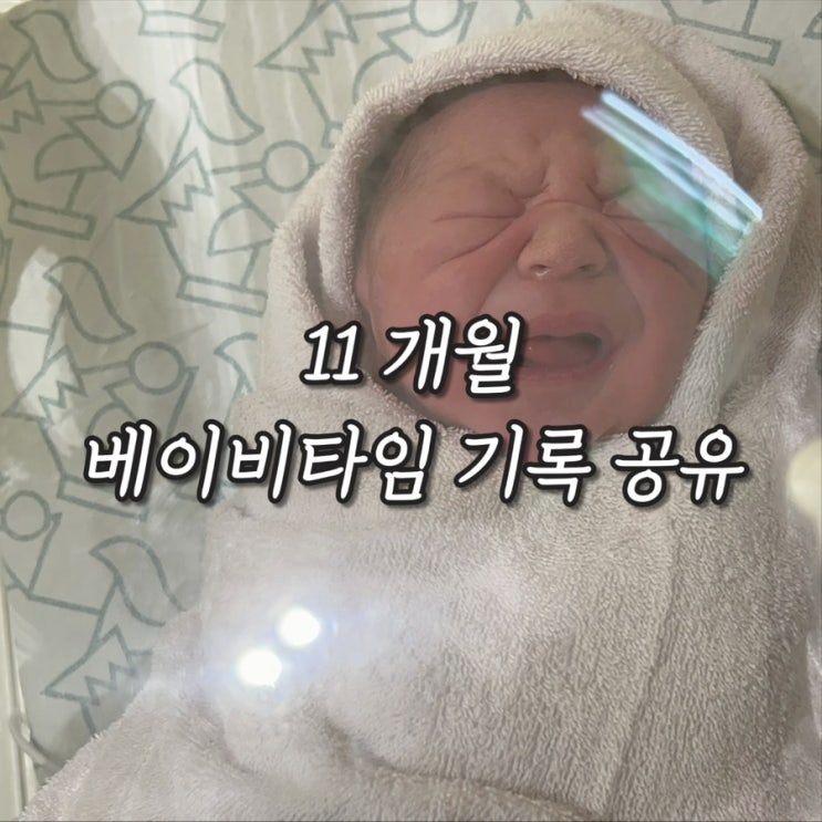  11개월 베이비타임 기록 공유