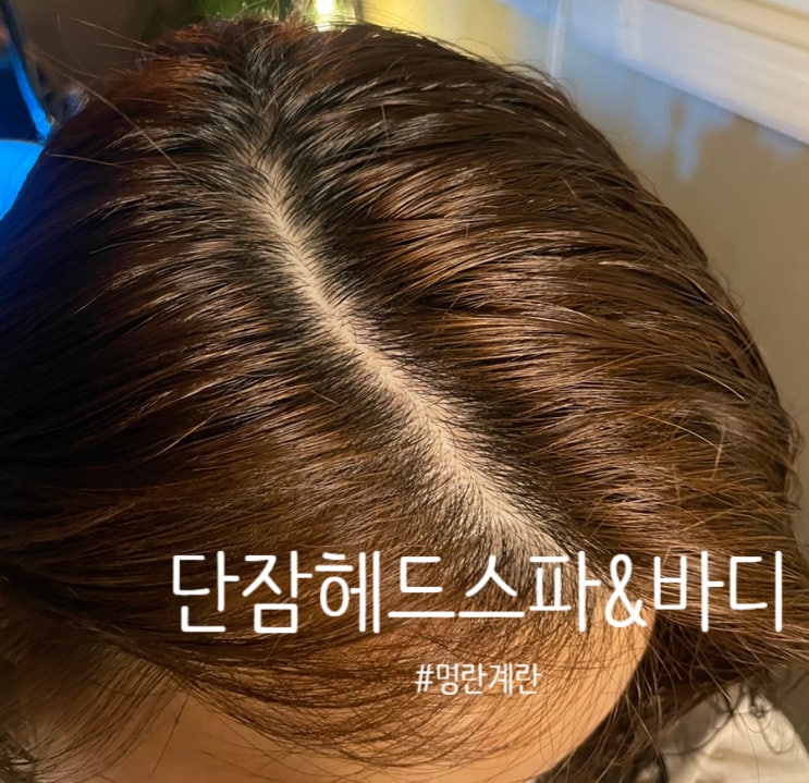  나를 위한 편안한 시간 원주 두피관리 전문 단잠헤드스파앤바디
