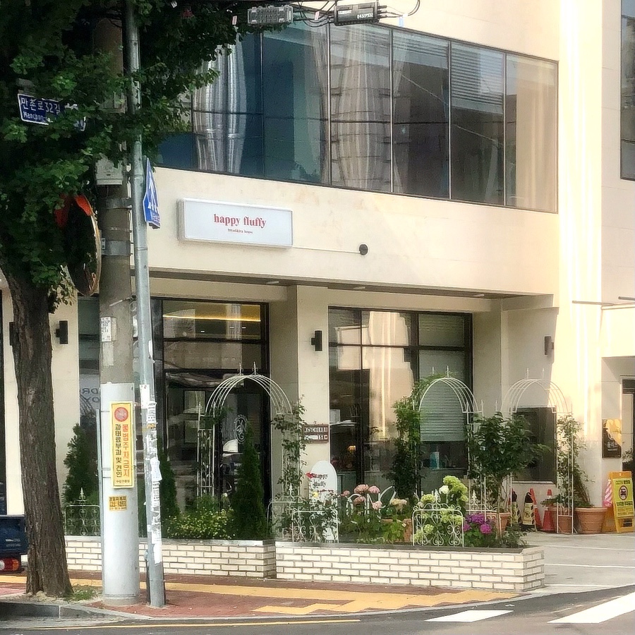Haepipeulreopi photo 1