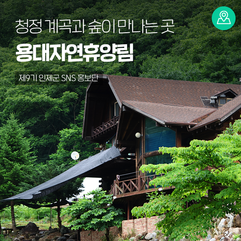 청정 계곡과 숲이 만나는 곳, 국립용대자연휴양림 [인제 가볼만한곳]