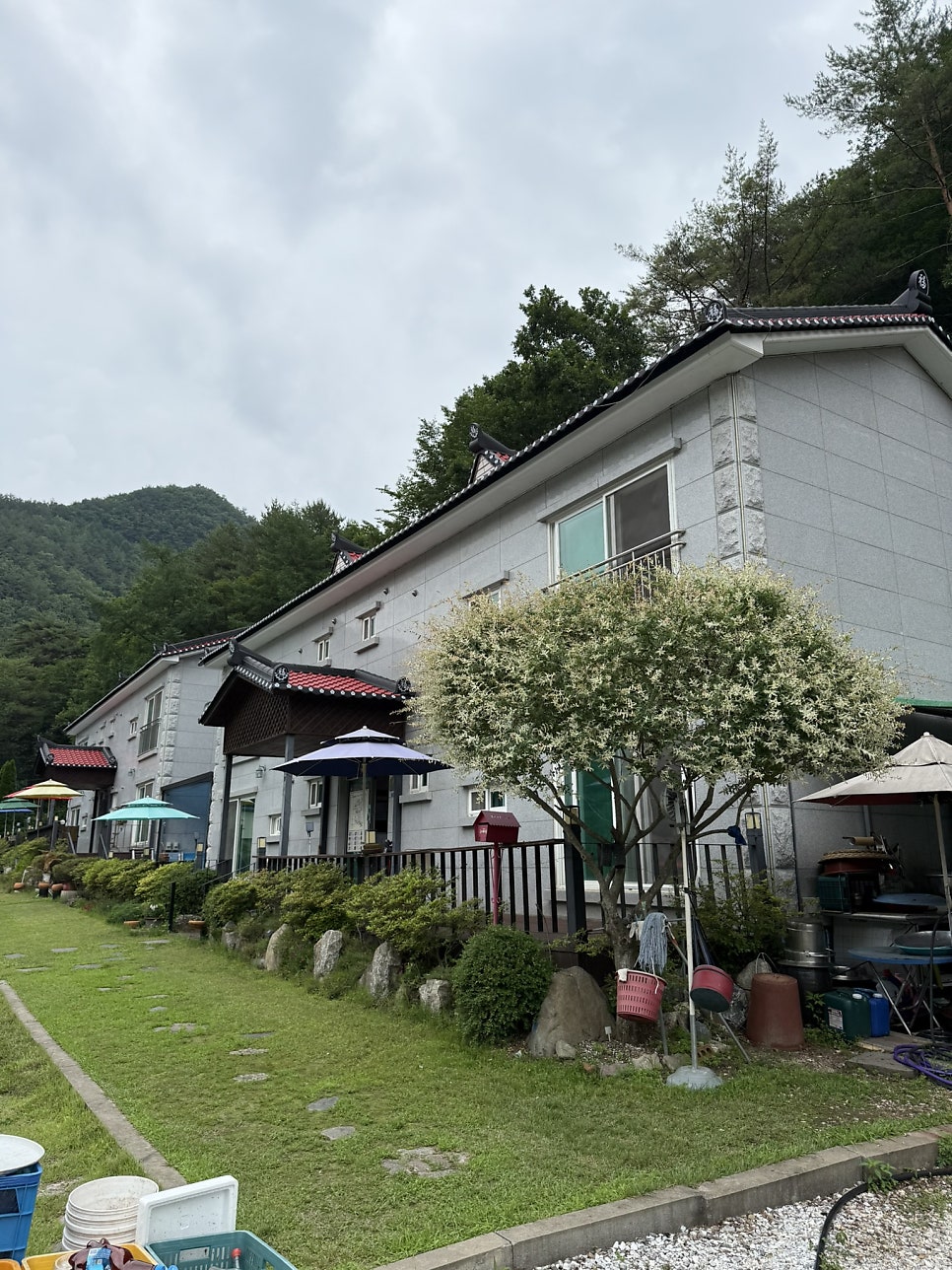 민둥산별화원카페 사진 4