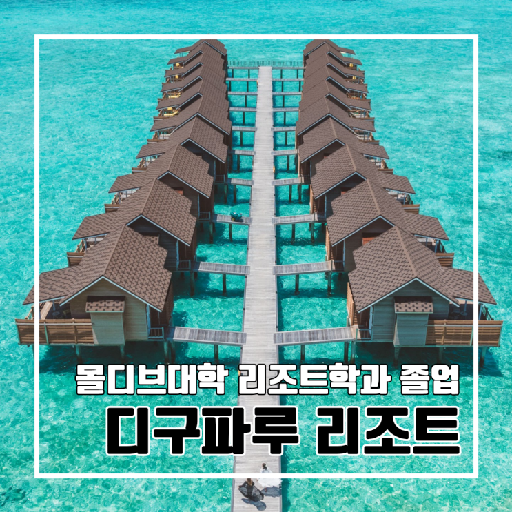  W. 신혼여행 몰디브 디구파루 리조트 계약 완료 l 몰디브대학 리조트학과 졸업