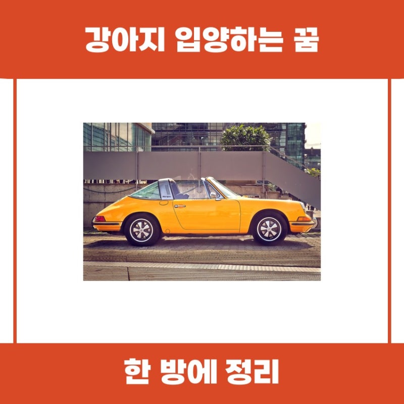 강아지 입양하는 꿈의 의미를 함께 알아볼까요