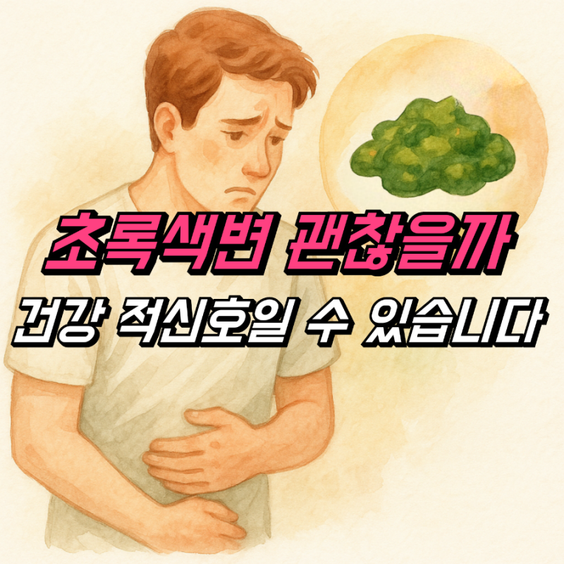 초록색변 설사 원인 성인 녹색변 괜찮을까