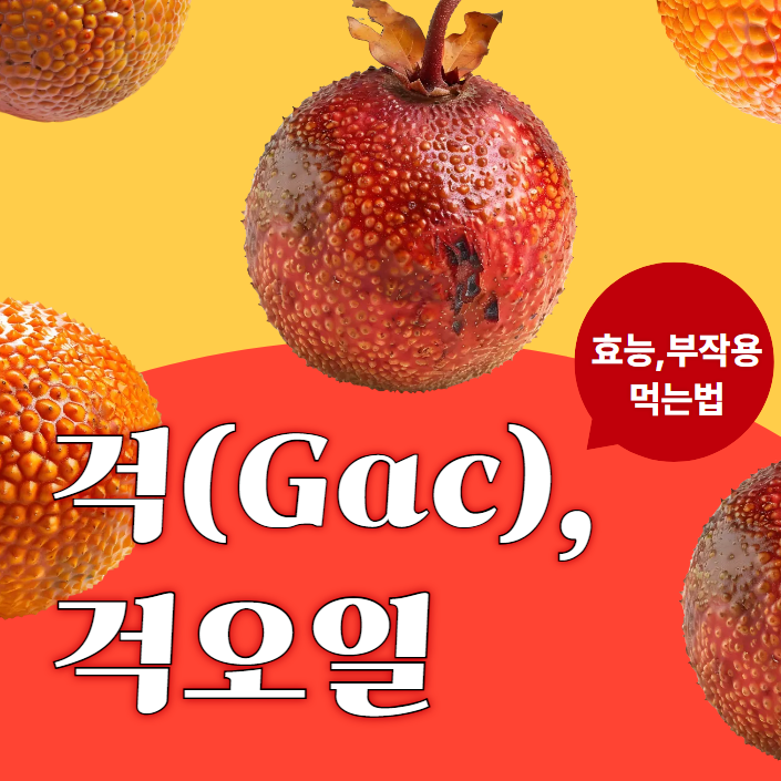  걱오일 효능 부작용 먹는법 걱