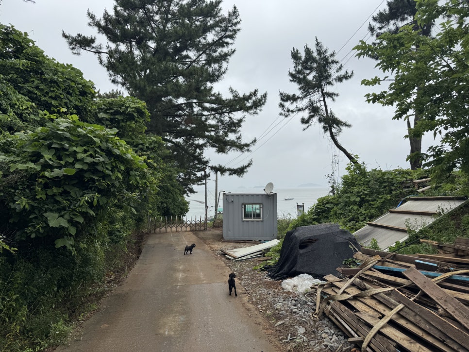 갯마을별장펜션 사진 4