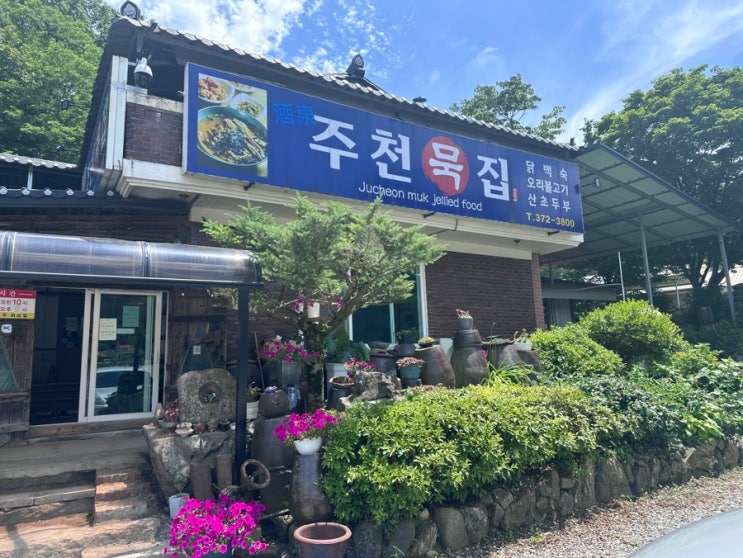강원도 영월 찐맛집 [주천묵집] 강원도 맛집 후기