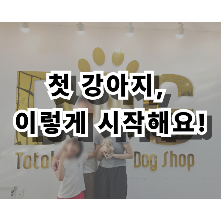  세종시에서 강아지 분양 어디가 제일 믿을만할까? 11년 경력 원독 말티푸 분양 후기 공개!