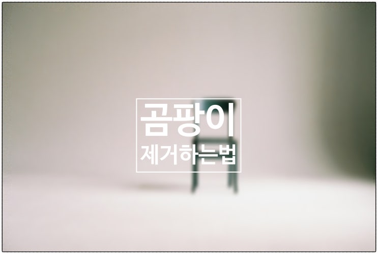  곰팡이 제거하는 법 / 건강생활소식(25.07.01)