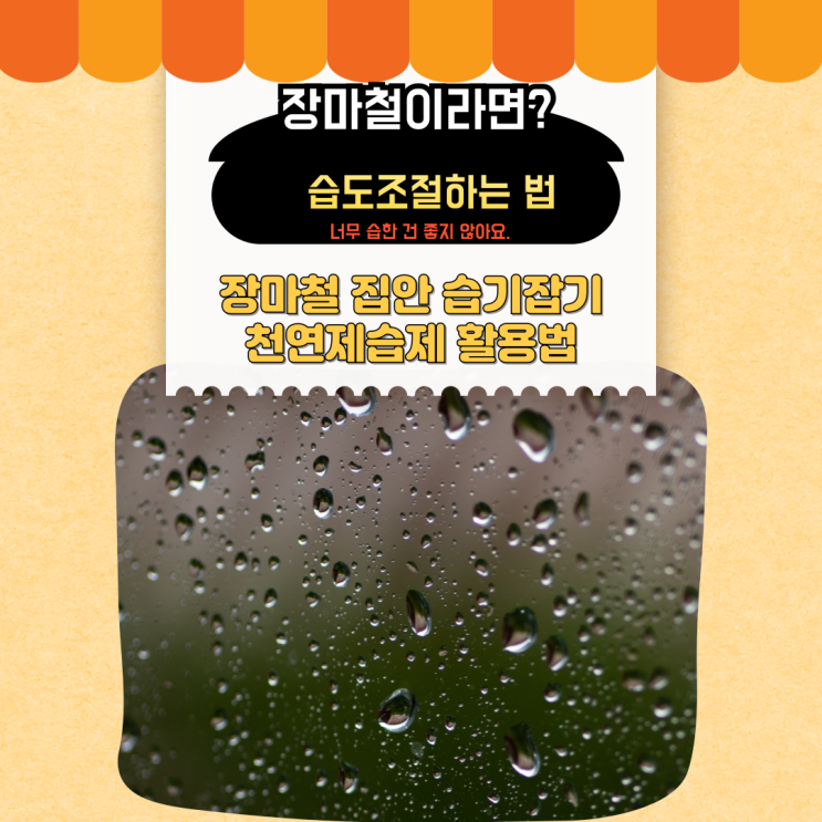 장마철 집안 습기잡기 천연제습제 활용법 (feat.실내습도 조절하는 식물)