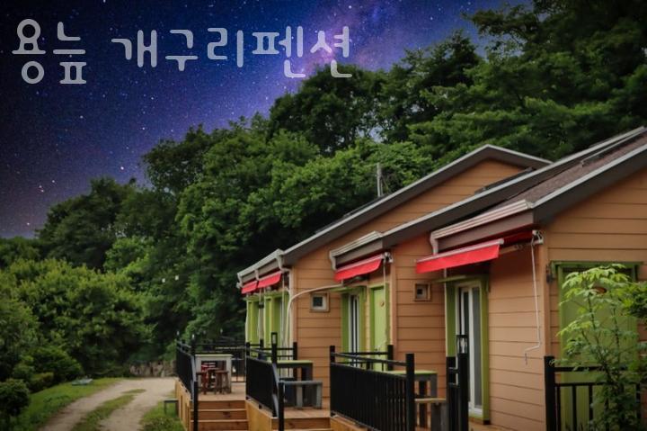개구리펜션 사진 1