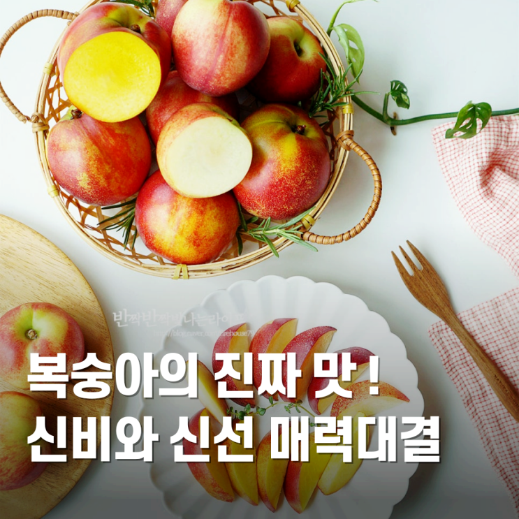 신비복숭아 vs 신선복숭아 비교 보관 법과 칼로리