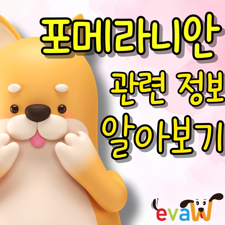  포메리언, 작은 몸에 담긴 큰 매력의 반려견