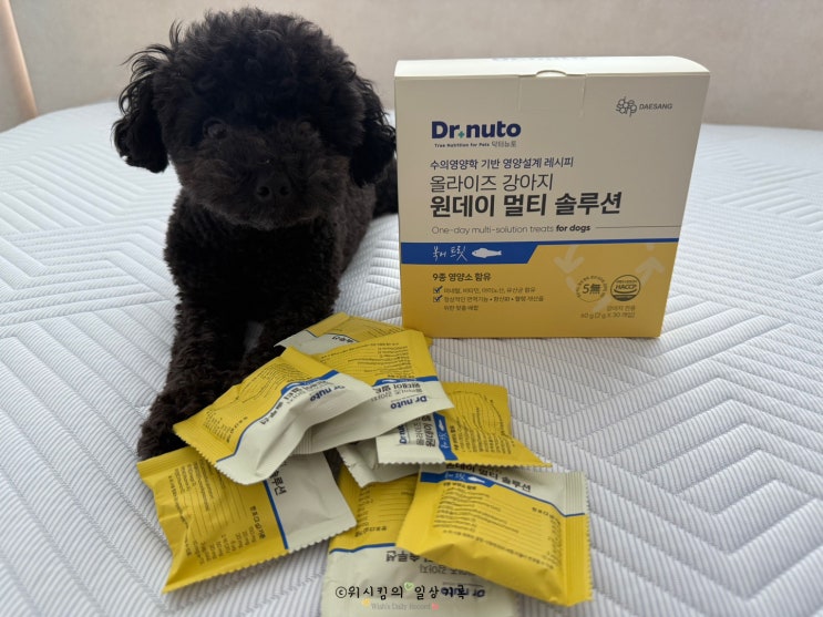  강아지영양제 닥터뉴토 한 포로 챙겨요
