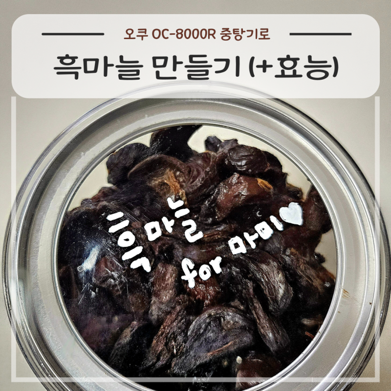 오쿠 OC-8000R(구모델)로 흑마늘 만들기(+효능)