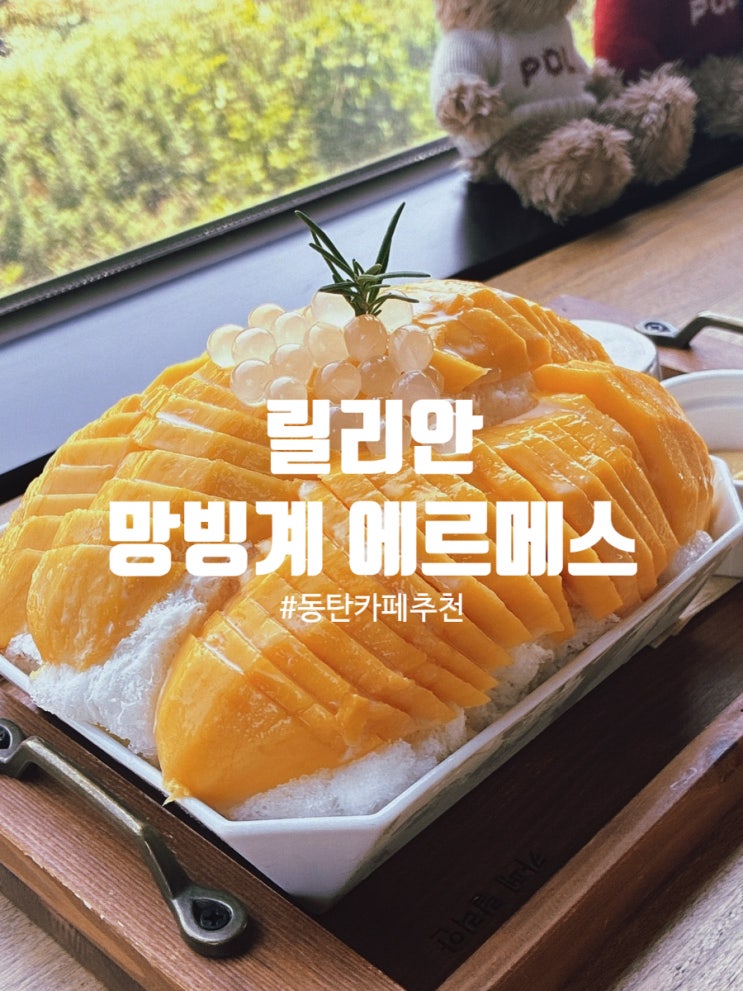  동탄 릴리안 카페: 호텔급 망고빙수, 여기서 만나다!