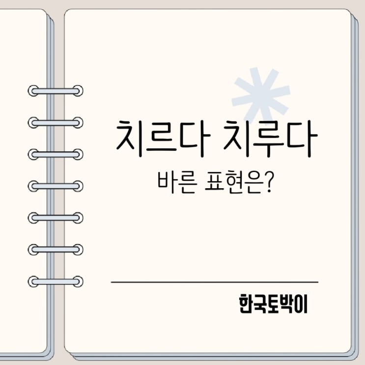  치르다 치루다 구분 시험 대가를 치르다?