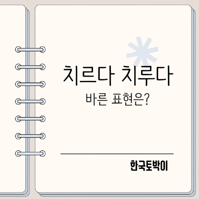 치르다 치루다 구분 시험 대가를 치르다?