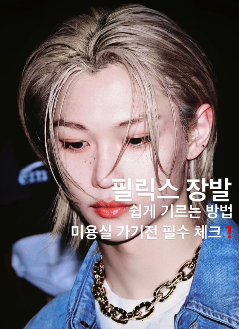 스트레이키즈 필릭스머리 남자 장발 장발 쉽게 기르는법 필릭스 염색