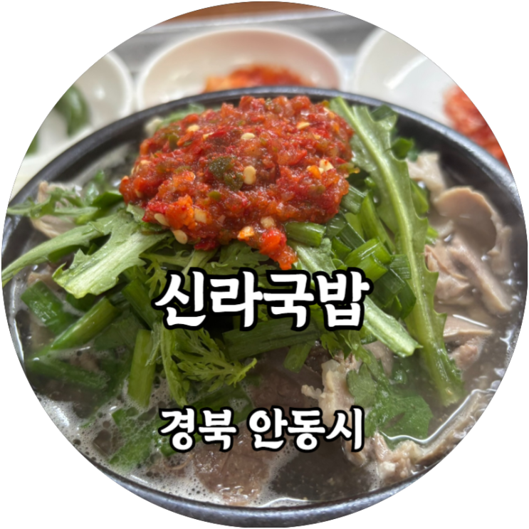  안동에서 가성비 좋은 돼지국밥 추천! 신라국밥