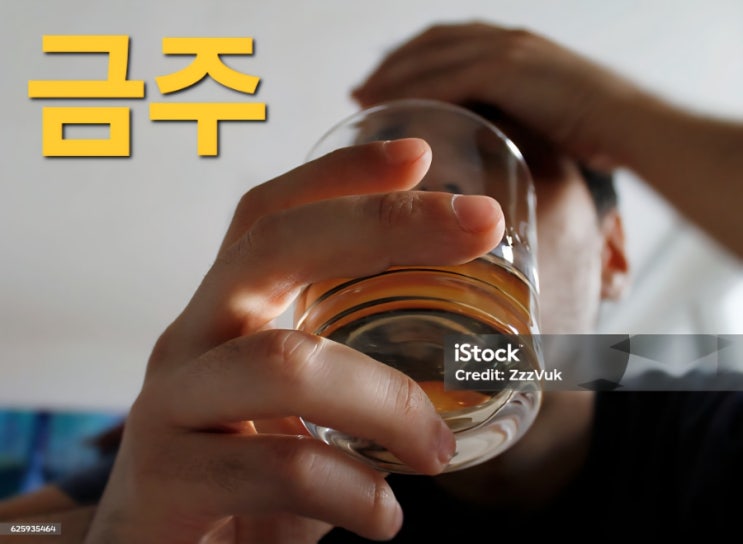 금주 7개월