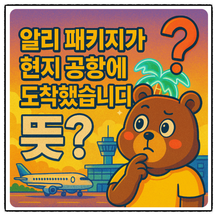  알리 패키지가 현지 공항에 도착했습니다 뜻 의미 알아보기