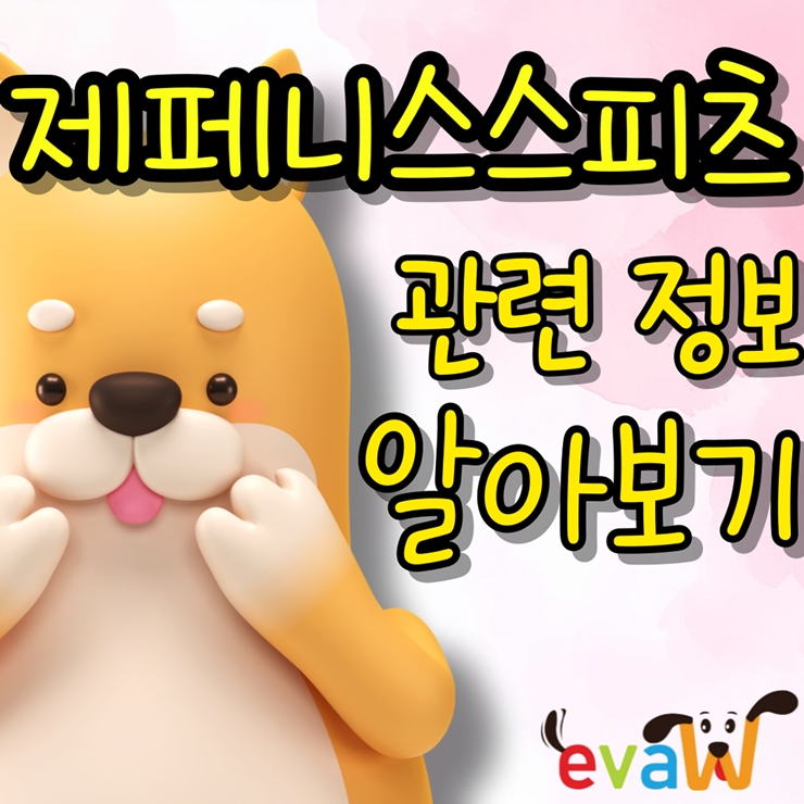  제페니스스피츠, 순백의 미소를 가진 반려견의 모든 것