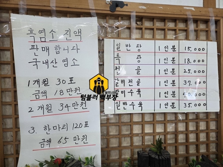 안서골흑염소 사진 3