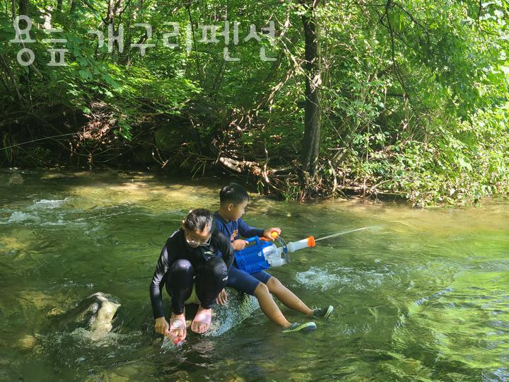 개구리펜션 사진 4