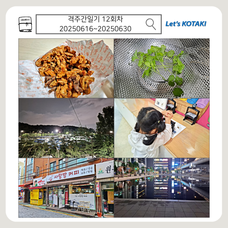  격주간일기 12회차 | 6월 16일부터 30일까지