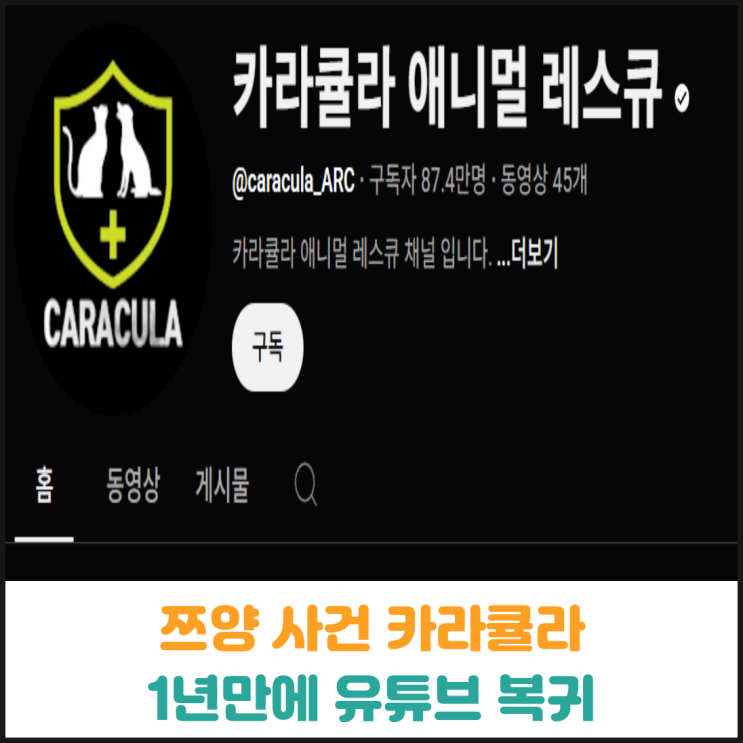 카라큘라 1년만에 유튜브 복귀 카라큘라 1년만에 유튜브 복귀