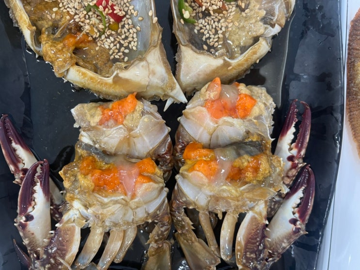 [태안맛집] 애견동반 가능한 게국지 맛집 천리포 해변식당 _ 2번째 방문