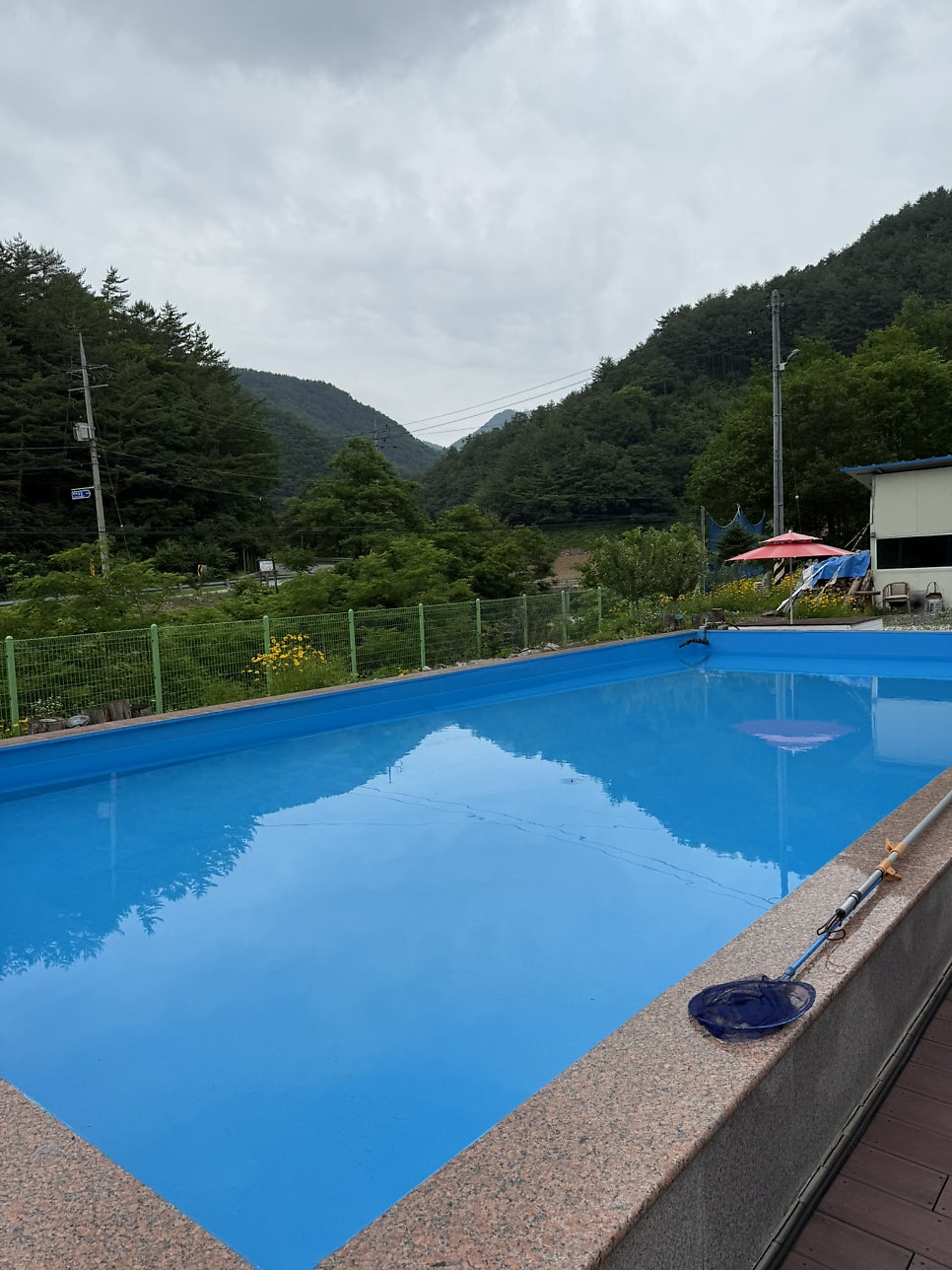 민둥산별화원카페 사진 5