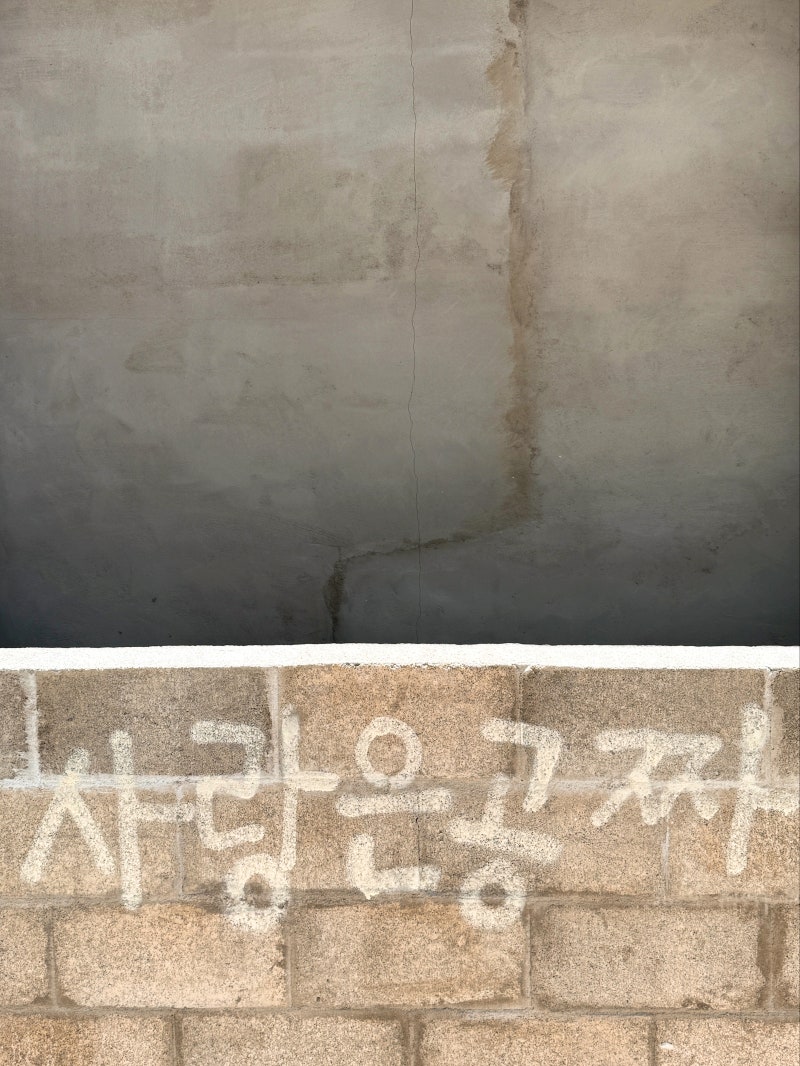 사진 3