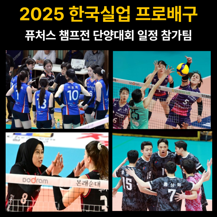 2025 한국실업배구 & 프로배구 <b>퓨처스 챔프전</b> 단양대회 일정... 