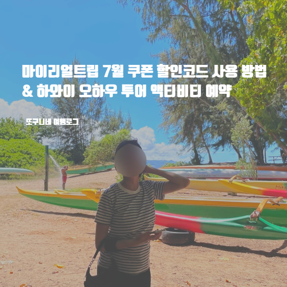  하와이 오하우 투어 액티비티 터틀 스노클링 예약