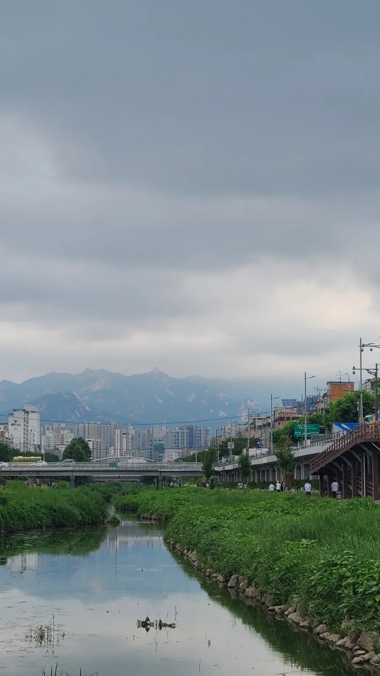 일욜 오전엔 불광천 산책하고 오후엔 신고전 통닭에서 치맥