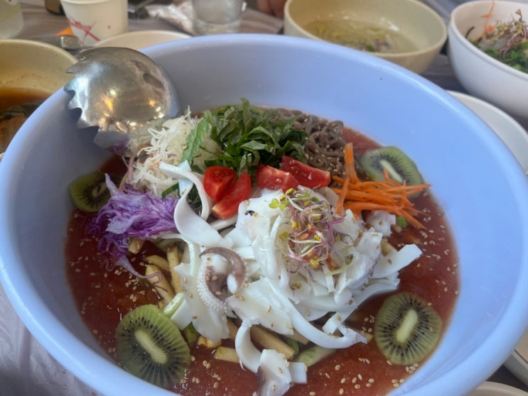 [태안 청포대 맛집] 쯔양도 인정한 갑오징어 물회 선창횟집