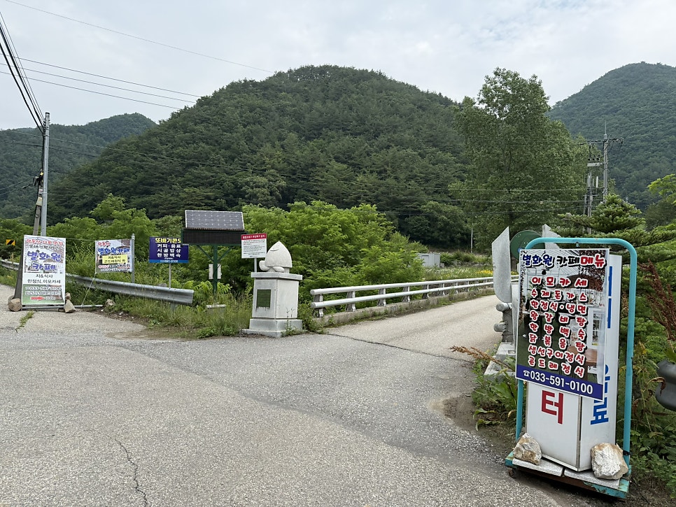 민둥산별화원카페 사진 2