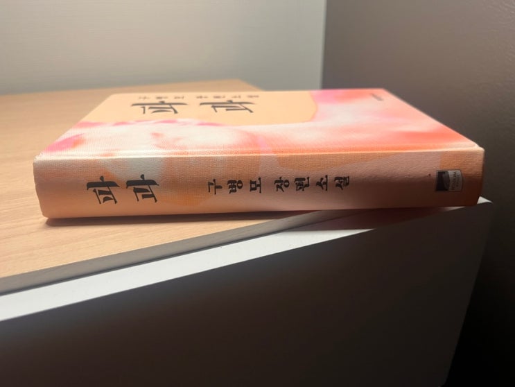  구병모 장편 소설 파과 인물 및 줄거리 감상평
