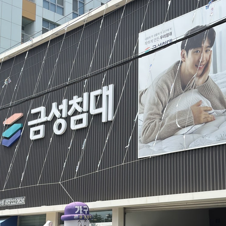  국산브랜드 금성침대 울산삼산점 방문